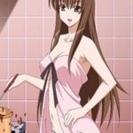 Descargar Aki Sora: Yume No Naka Mega y Mediafire Sub Español